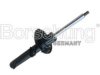 Borsehung B14724 Shock Absorber